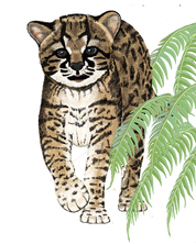 Gato Guiña tendencia copia