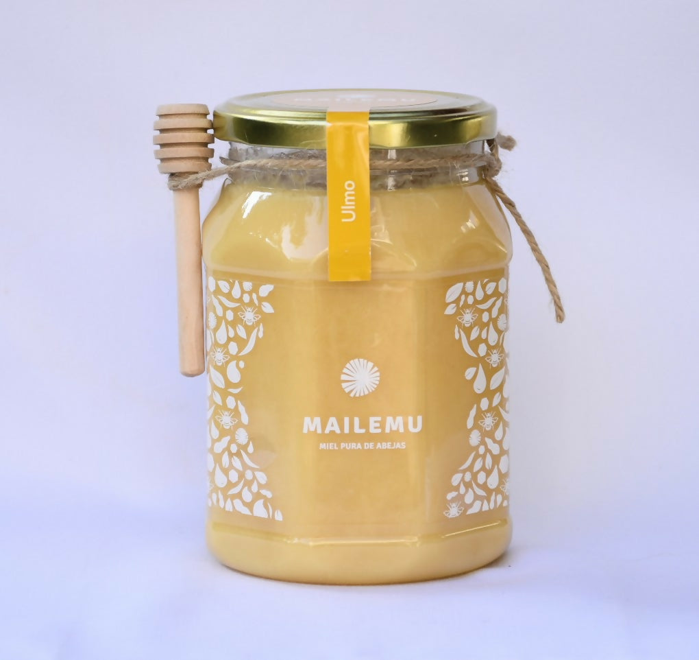 Miel de Ulmo 1kg Mailemu - Creado en Chile