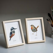 Postales Aves de Chile