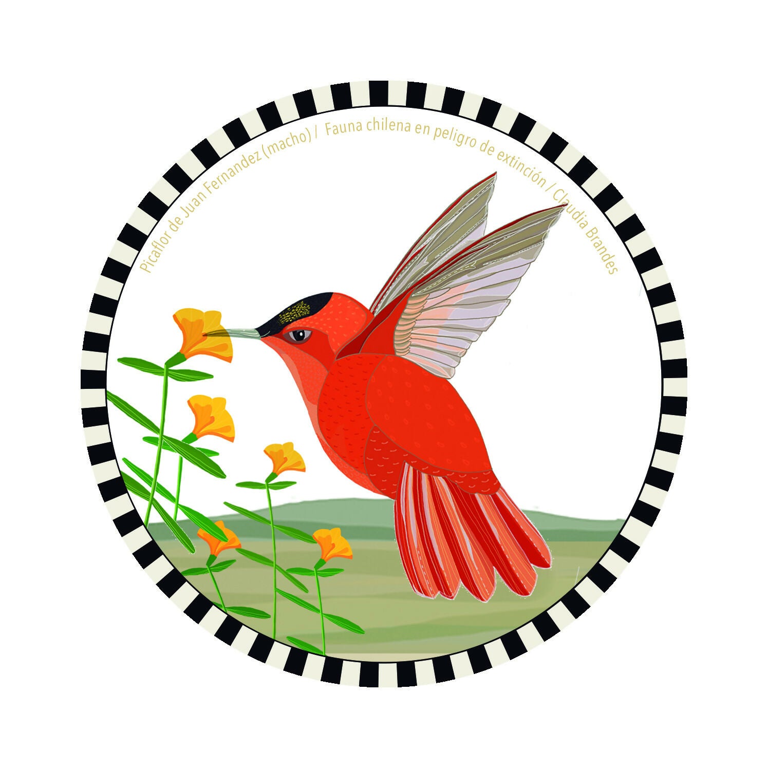 Set 6 Posavasos Fauna chilena en peligro (6 ilustraciones diferentes )