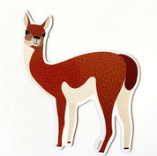 IMAN GUANACO PRODUCTO