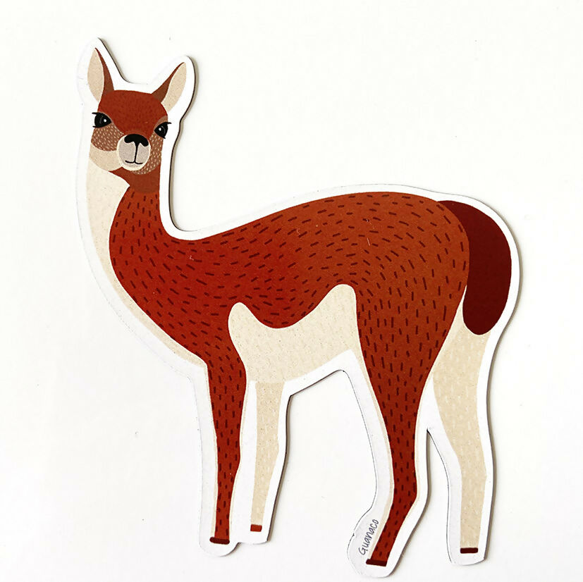 IMAN GUANACO PRODUCTO
