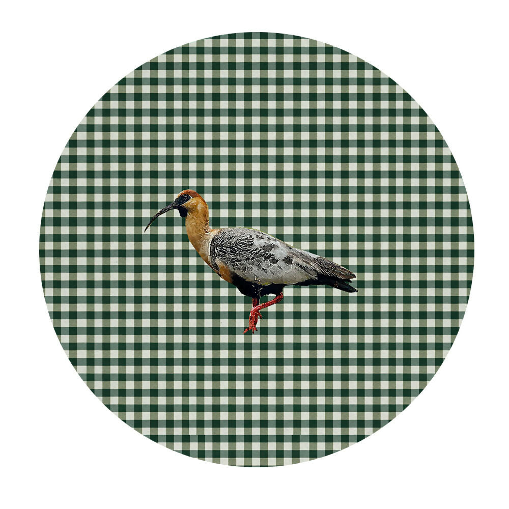 Set 4 Bajoplatos Colchagua