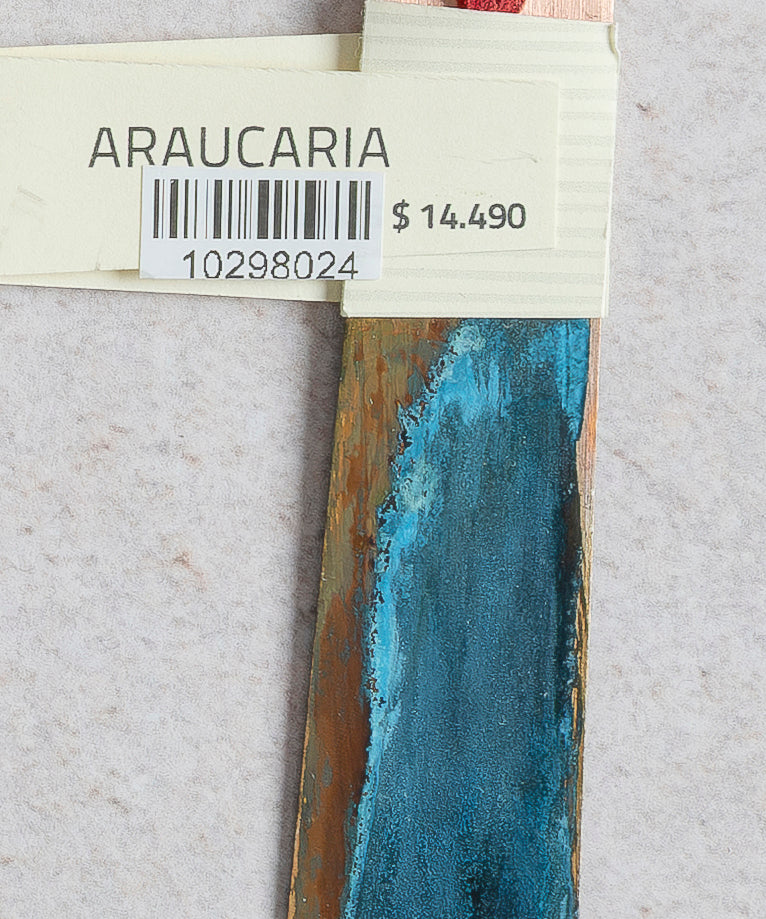 Araucaria_1.jpg