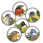 Set 6 Posavasos Pajaritos Chilenos, SERIE 3 (6 diferentes pájaros)