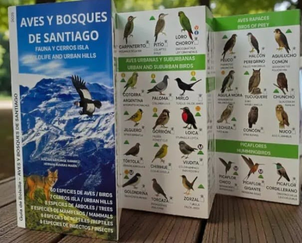 AVES Y BOSQUES DE SANTIAGO. FAUNA Y CERROS ISLA