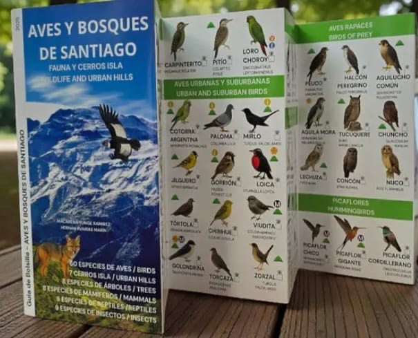 Avesybosques.jpg