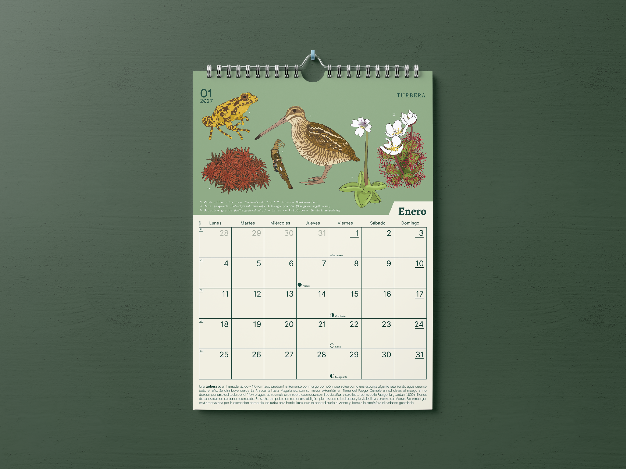 Calendario 2027 - Ecosistemas