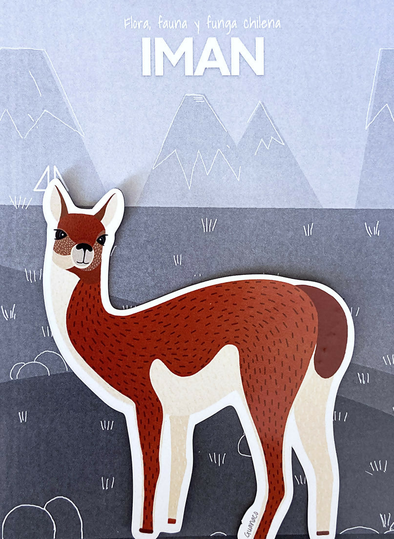 GUANACO IMAN POST REEL