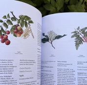 Botánica Indígena de Chile