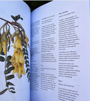 Botánica Indígena de Chile