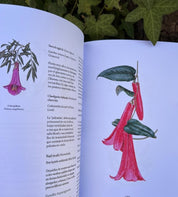 Botánica Indígena de Chile