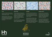 Set  32 individuales de papel Flora y Fauna chilena II