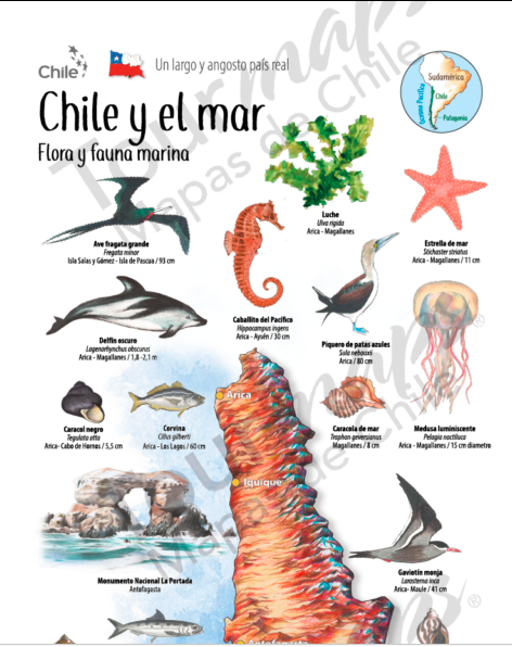 MAPA CHILE Y EL MAR