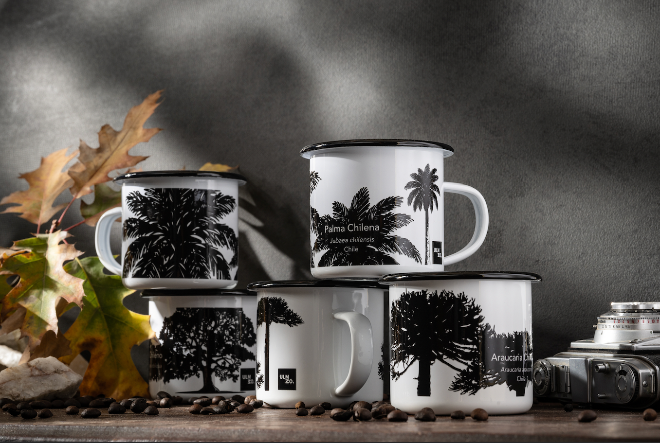 Set 6 tazones Árboles Nativos