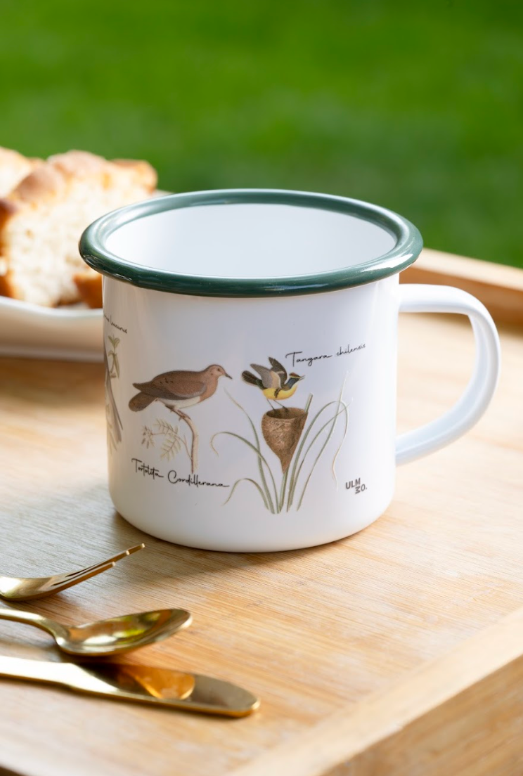 TAZÓN ENLOZADO PAJARITOS CHILENOS 2 ULMMO