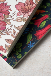 Libreta Ilustrada Ulmmo- Chilco