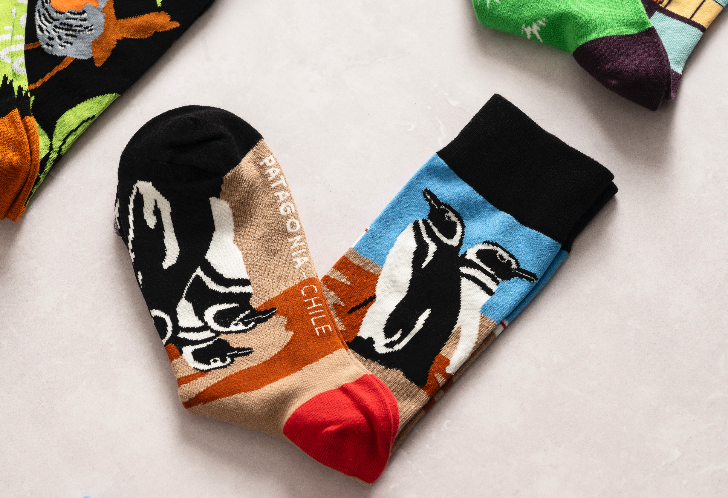 Calcetines Largos Algodón - Pingüinos de Humboldt