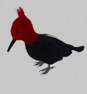 Aves Chilenas de Fieltro- Pájaro Carpintero - ULMMO