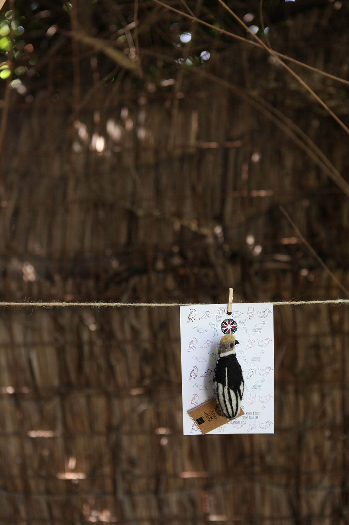 Pajarito prendedor Condor Negro