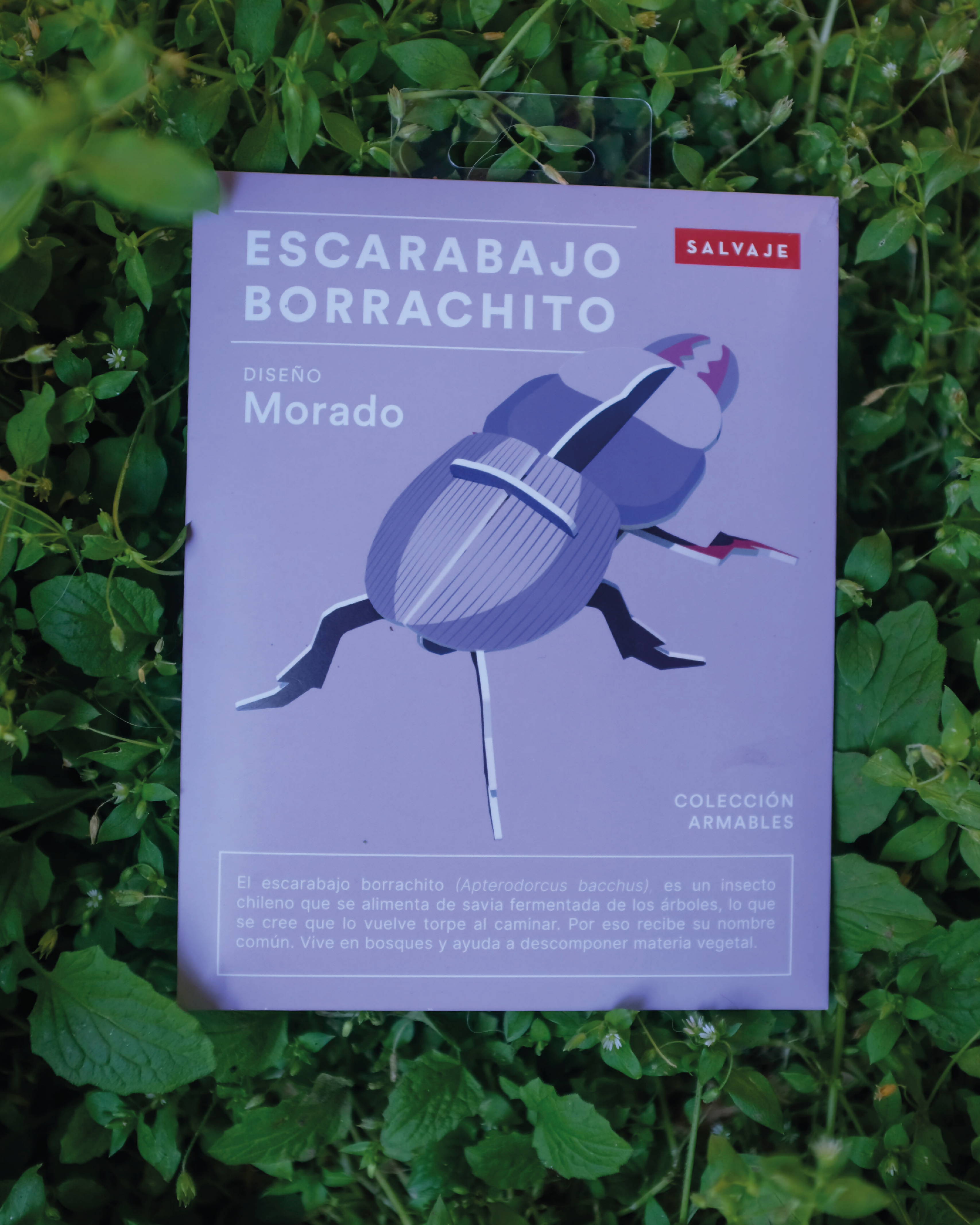 Escarabajo borrachito para armar