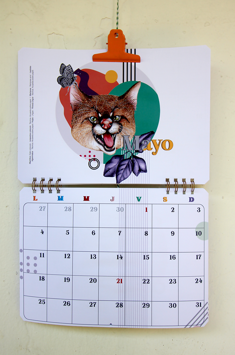 Calendario Muro 2026-2027