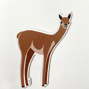 IMAN VICUÑA PRODUCTO