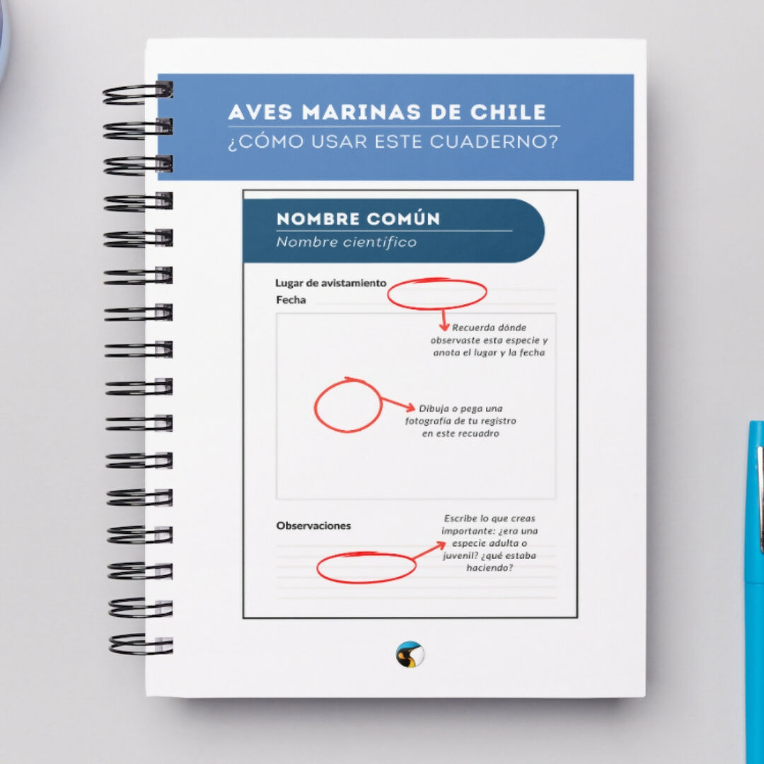 Cuaderno de Campo Aves Marinas de Chile