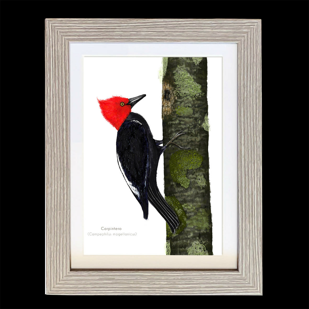 CUADRO CARPINTERO A1 VGO con paspartu copia