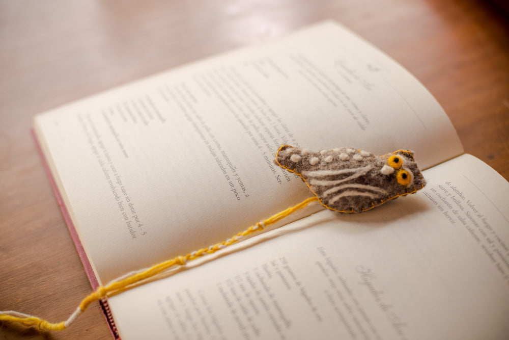 Pajarito marca libro Chuncho Gris