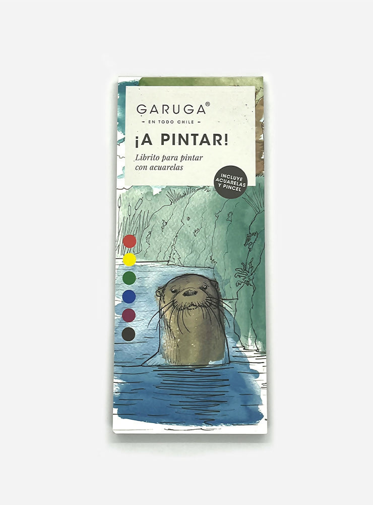 Librito acuarela WEB5