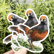 post imanes hued hued