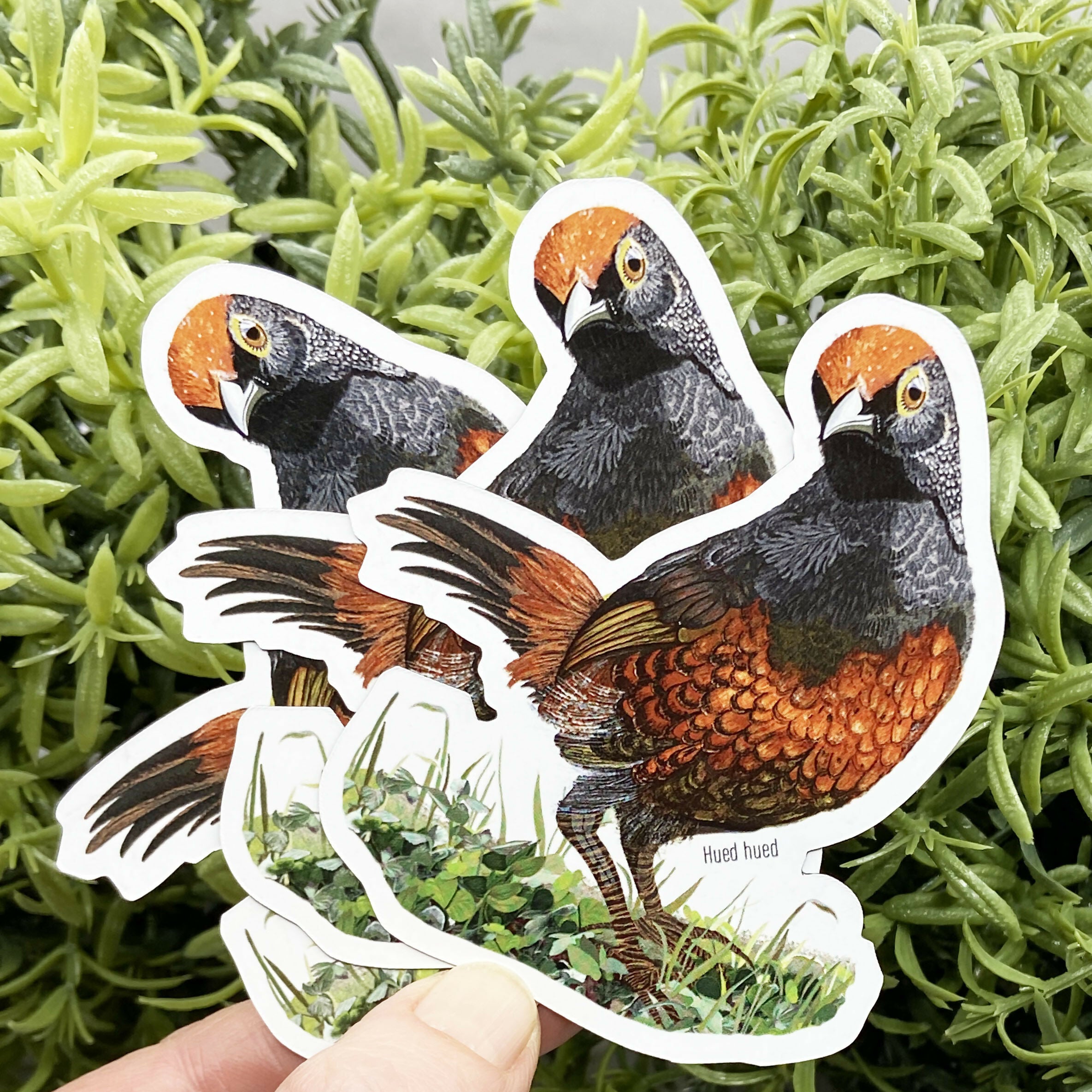 post imanes hued hued