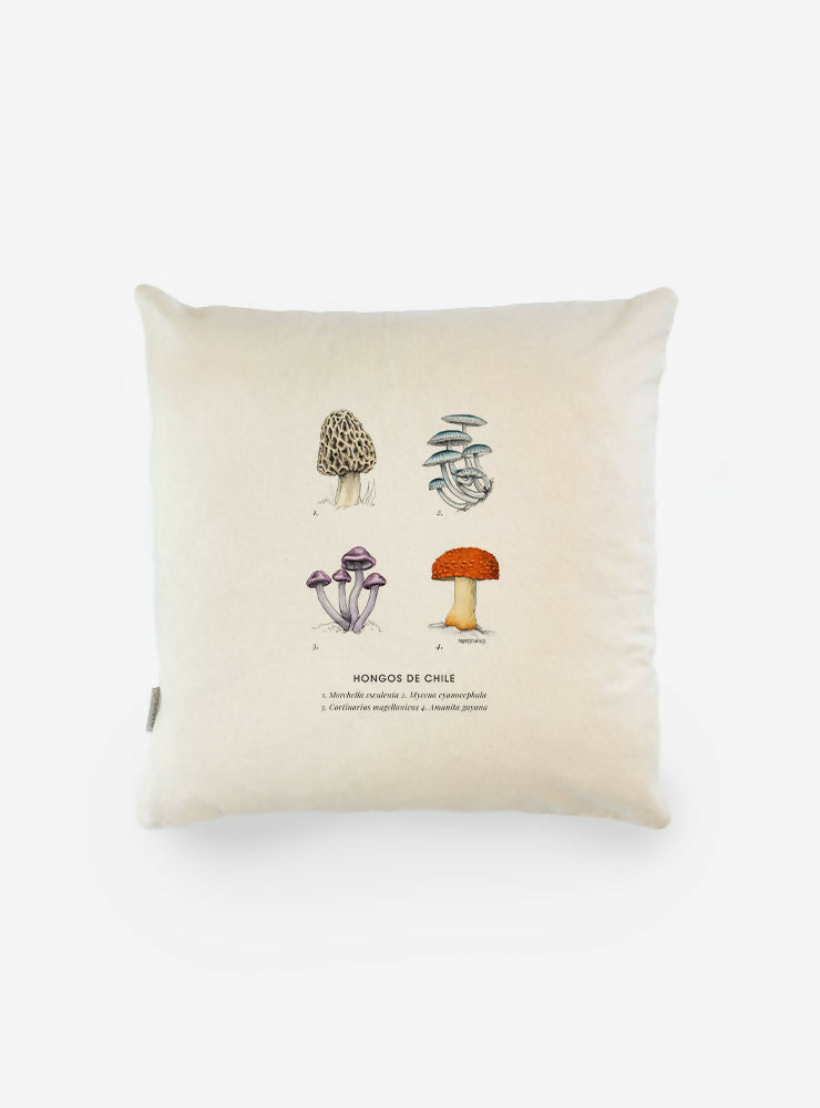 FUNDA COJIN HONGOS