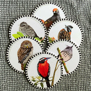foto posavasos pajaros chilenos reel
