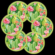 Post posavasos cactus copia2