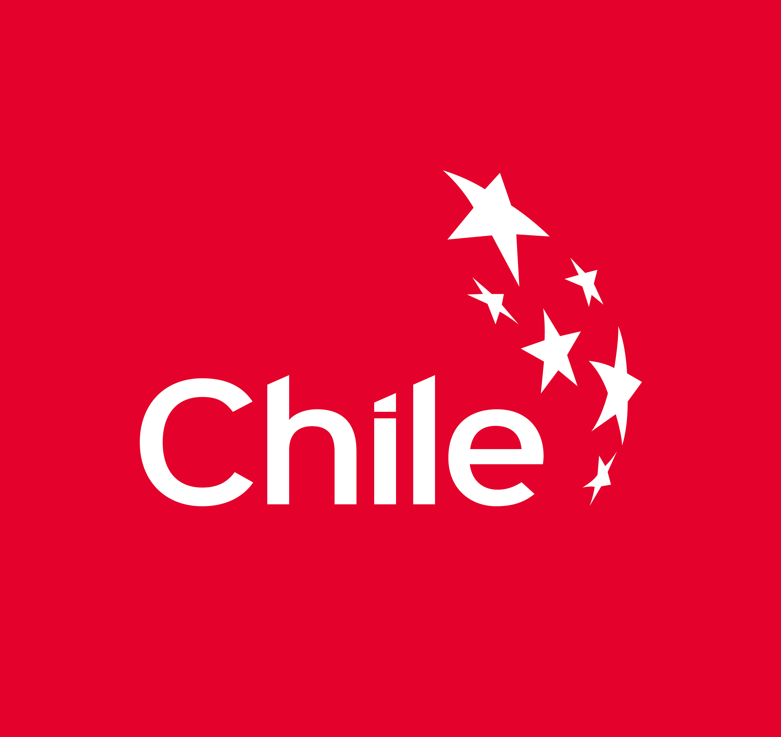IMAN CACHUDITO, aves de Chile