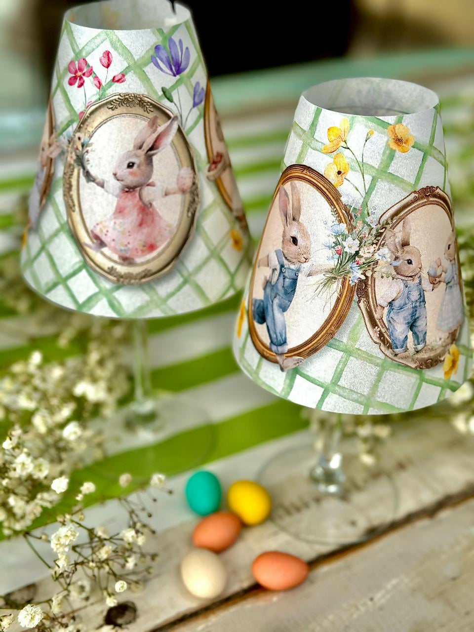 pantalla fam conejo 3