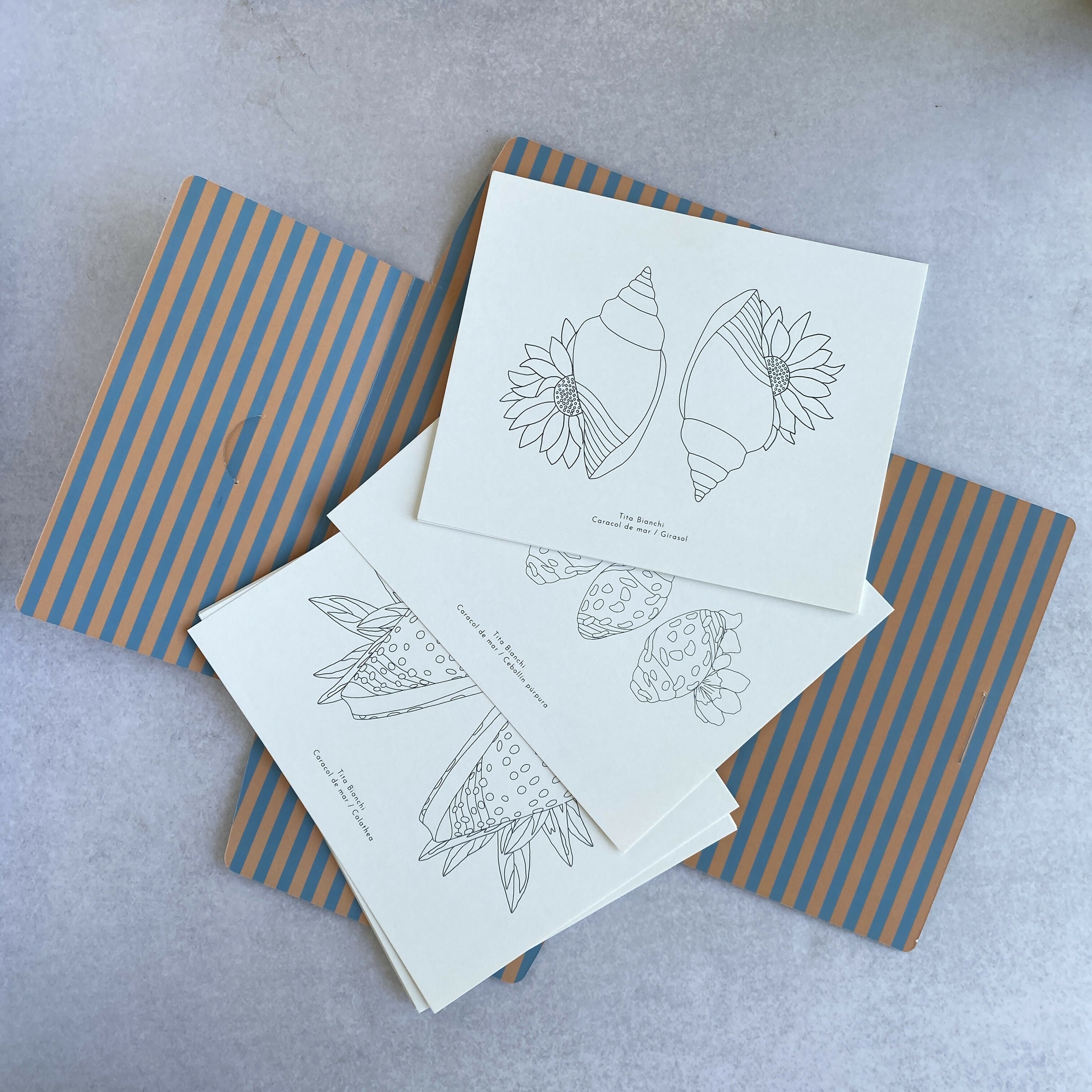 Carpeta Conchitas Botánicas con 22 láminas para pintar