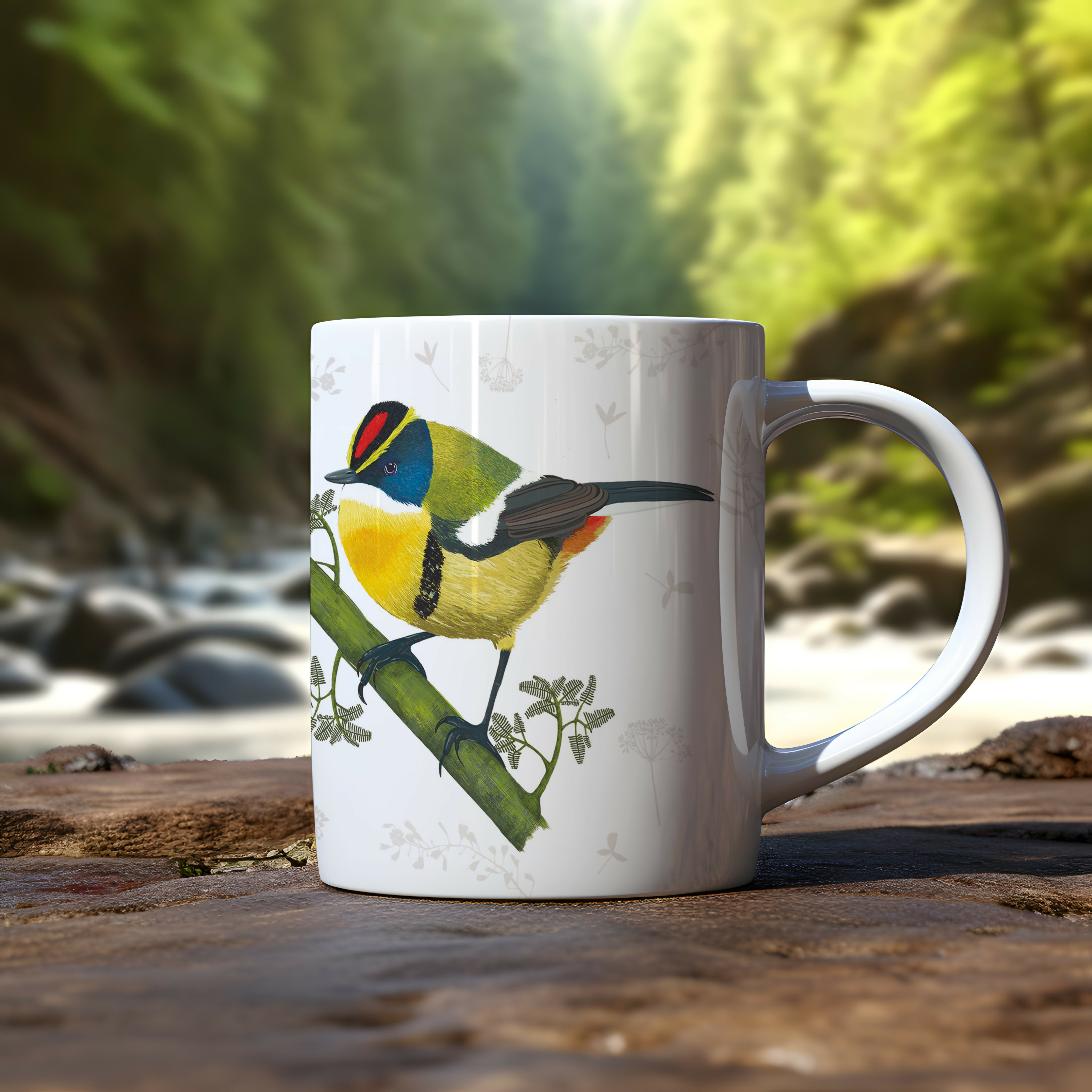 SIETECOLORES PAISAJE