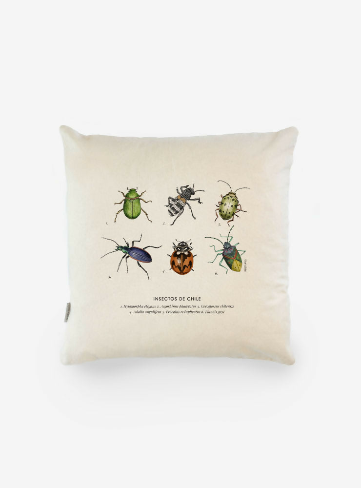 FUNDA COJÍN INSECTOS