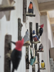 Pájaro tallado Pájaro Carpintero
