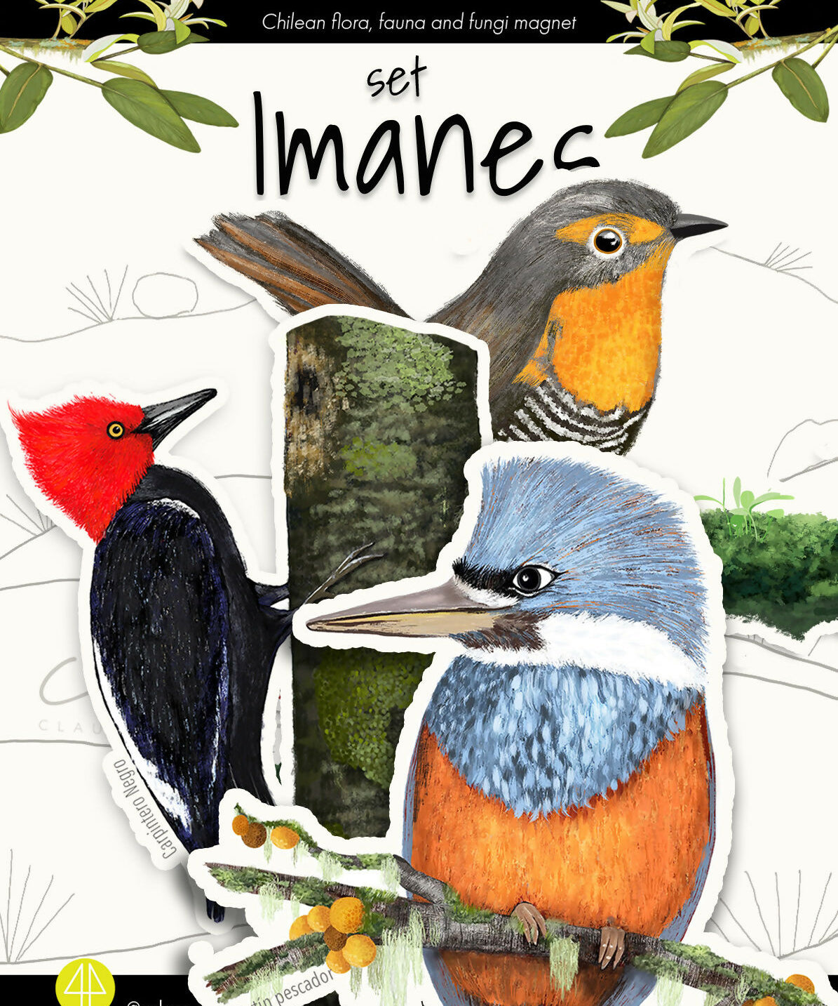 Set Bosque Valdiviano