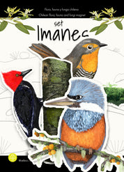 Set Bosque Valdiviano