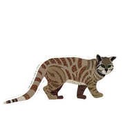 2post gato andino png