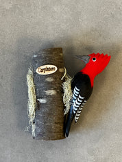 Pájaro Carpintero tallado y pintado a mano
