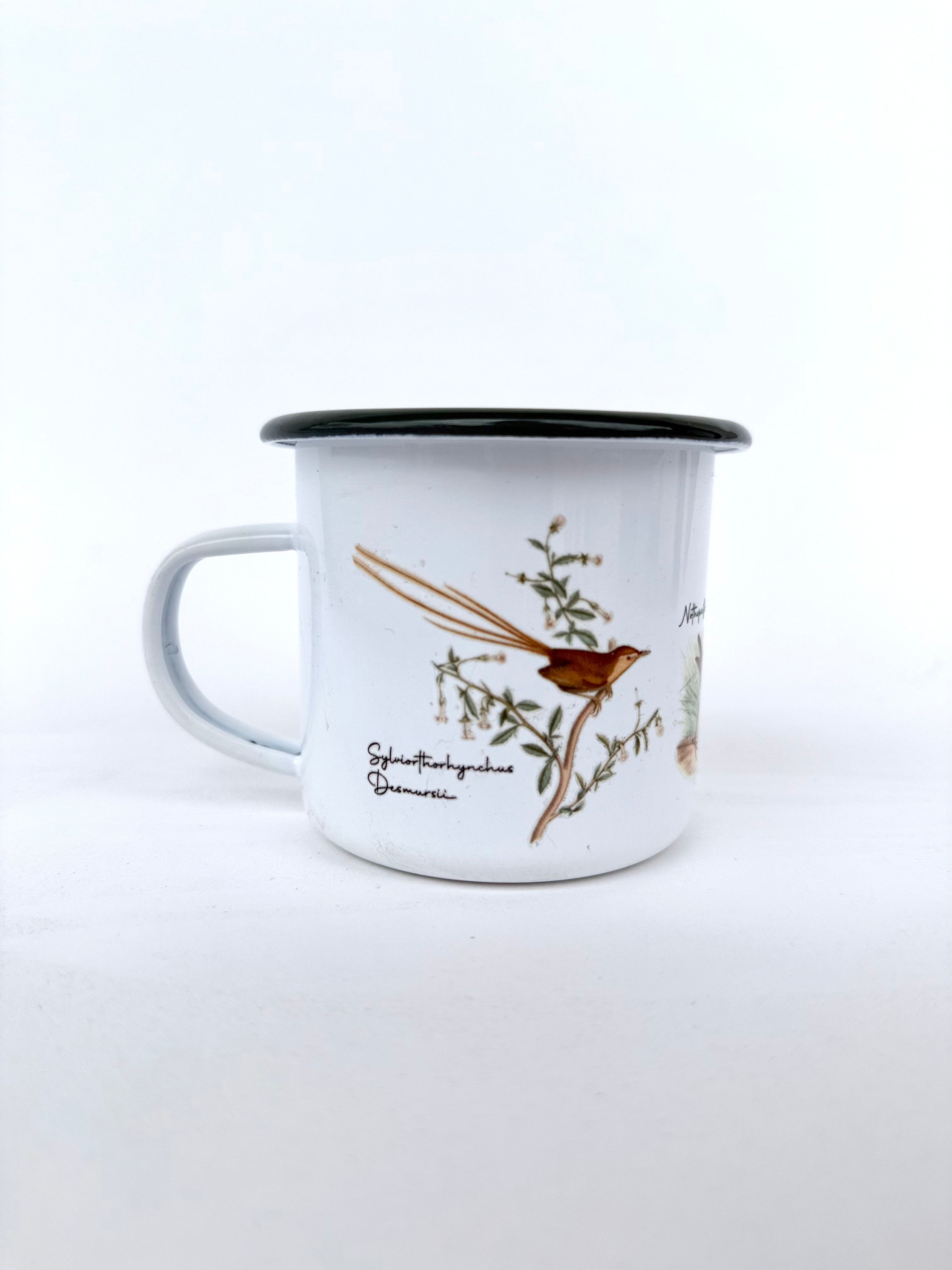 TAZÓN ENLOZADO PAJARITOS CHILENOS 3 ULMMO