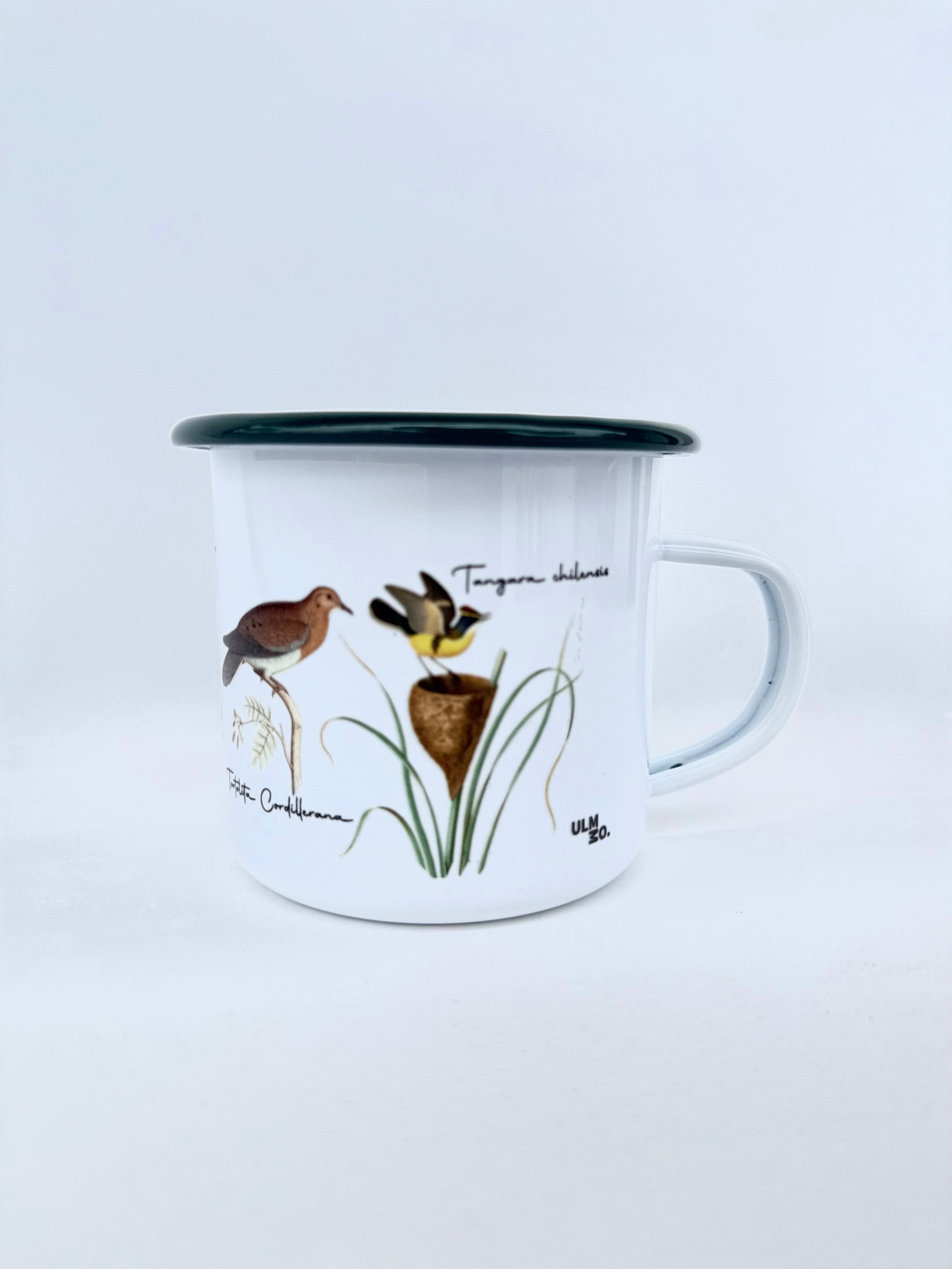 TAZÓN ENLOZADO PAJARITOS CHILENOS 2 ULMMO