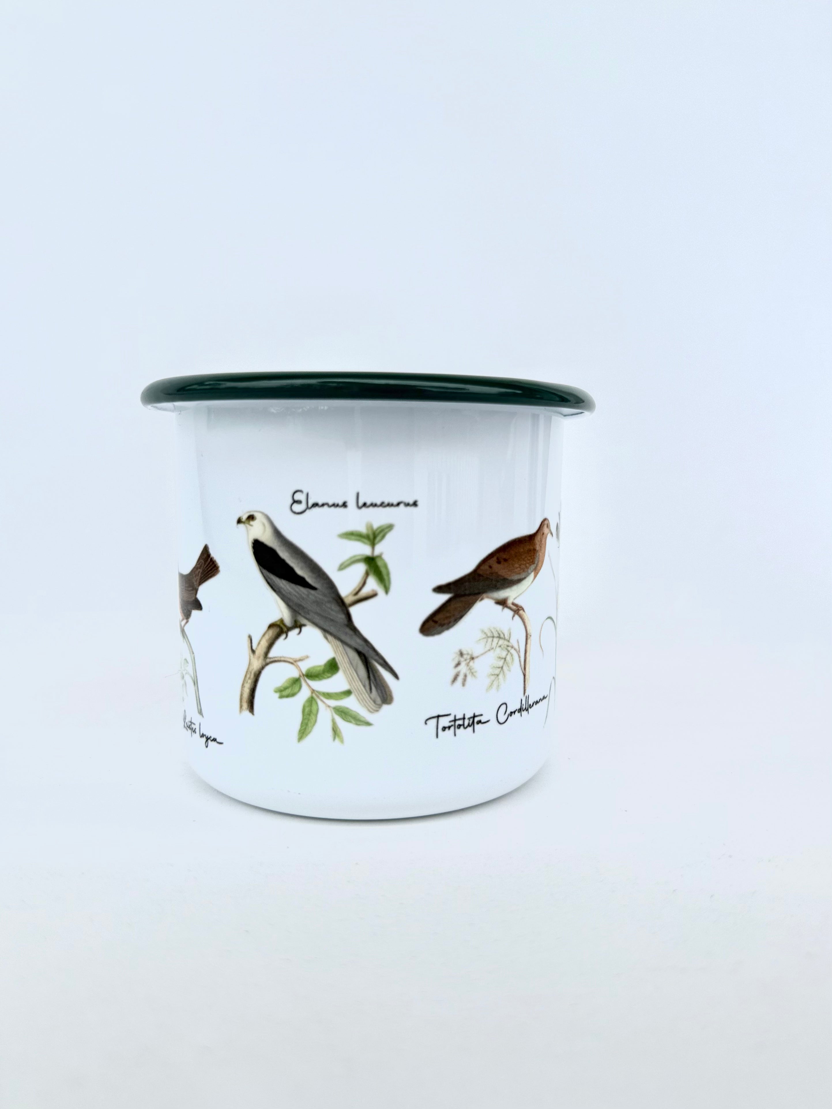 TAZÓN ENLOZADO PAJARITOS CHILENOS 2 ULMMO