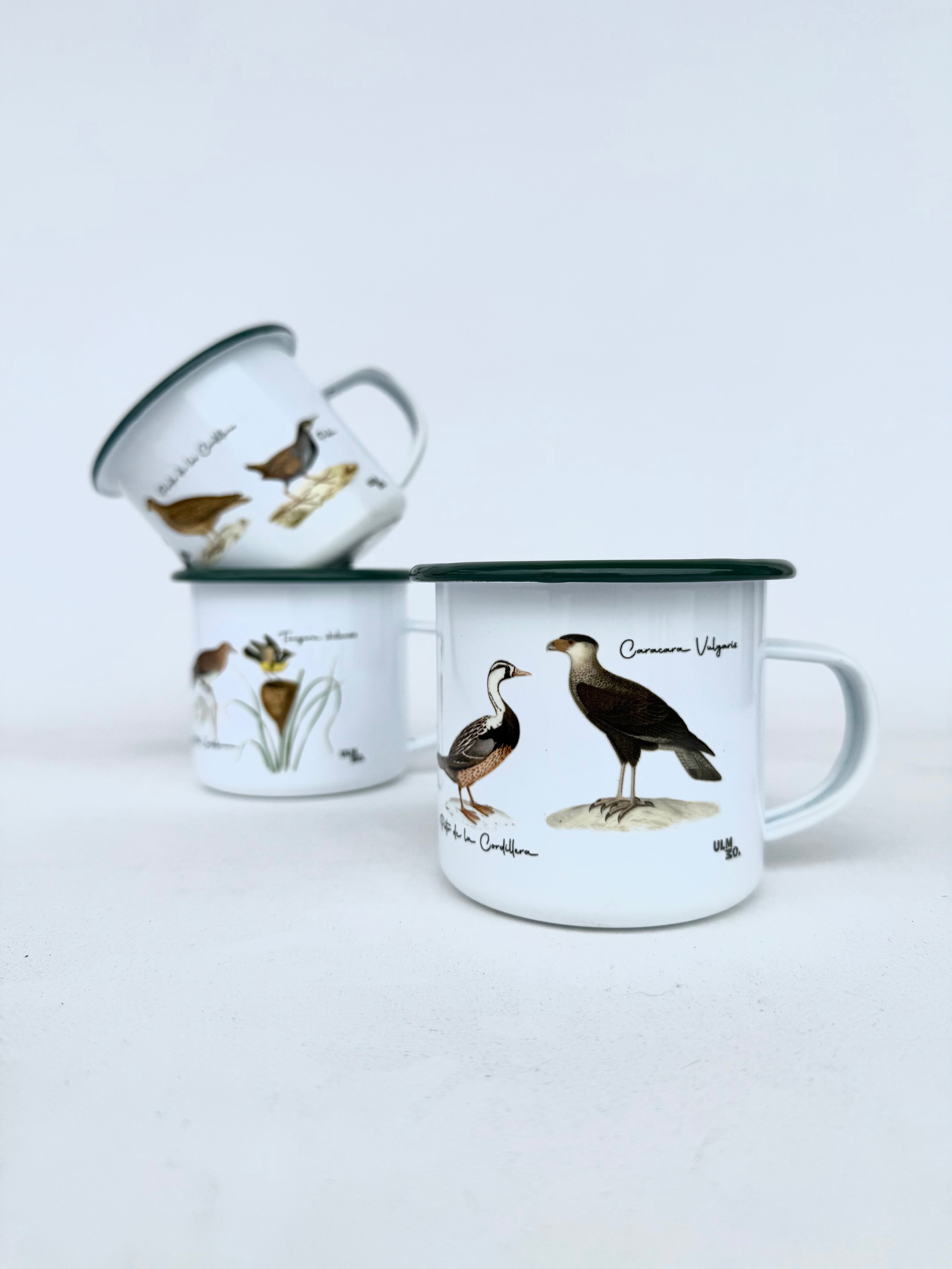 TAZÓN ENLOZADO PAJARITOS CHILENOS 1 ULMMO